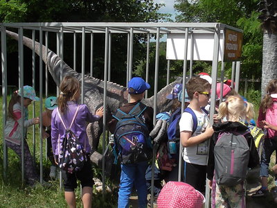 Obrázek 125502 
