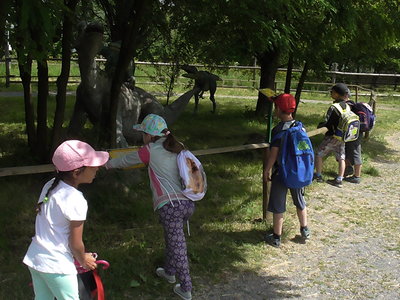 Obrázek 125505 