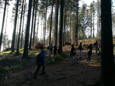 Obrázek 125764 