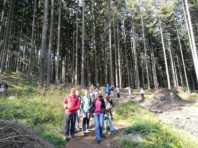 Obrázek 125791 
