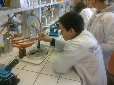 6.B ve Světě techniky