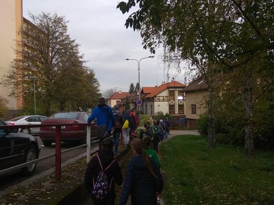 Obrázek 126278 