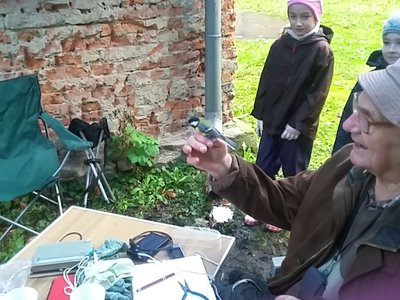 Obrázek 126561 