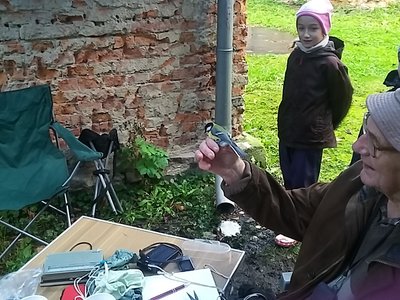 Obrázek 126560 