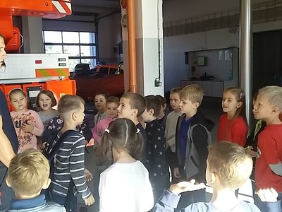Obrázek 126647 