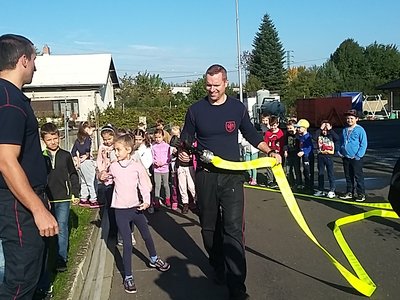 Obrázek 126660 