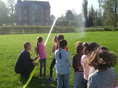 Obrázek 126663 
