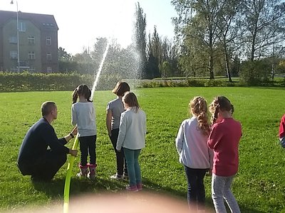 Obrázek 126668 