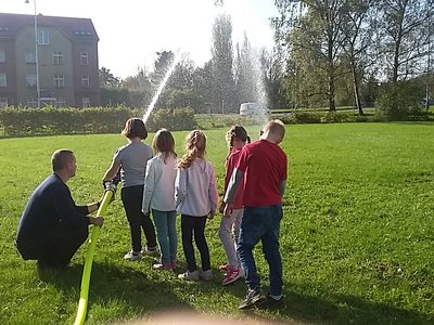 Obrázek 126666 