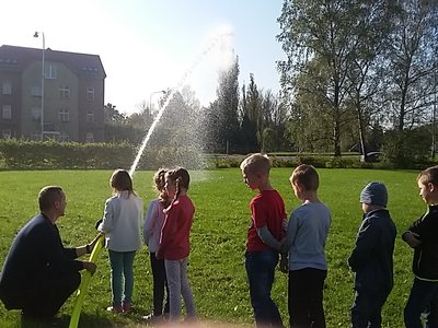 Obrázek 126667 
