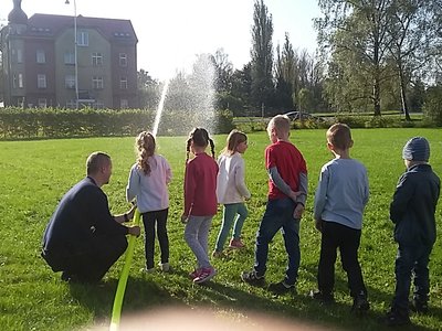Obrázek 126690 