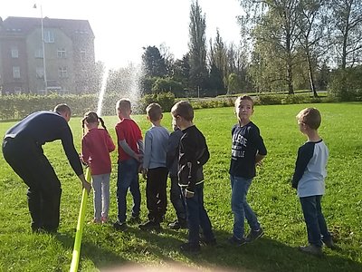 Obrázek 126672 