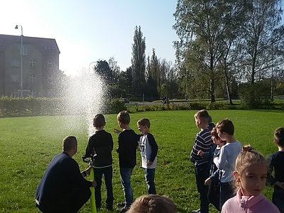 Obrázek 126675 