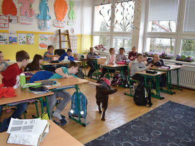 Obrázek 129248 