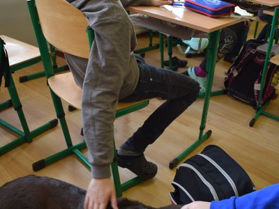 Obrázek 129225 