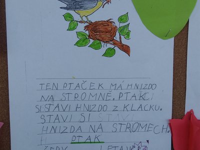Obrázek 129530 