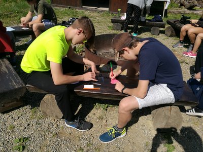 Obrázek 129669 