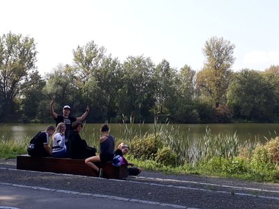Obrázek 130968 