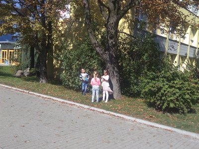 Obrázek 131041 