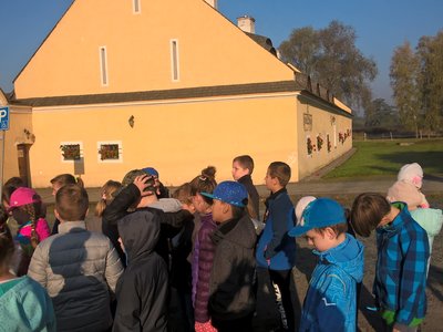Obrázek 131616 