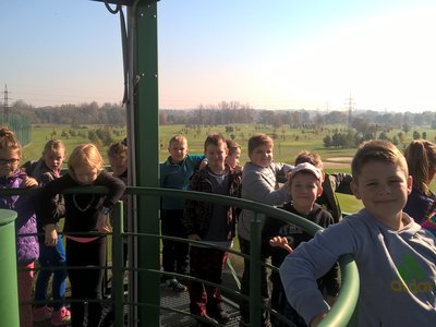 Obrázek 131625 