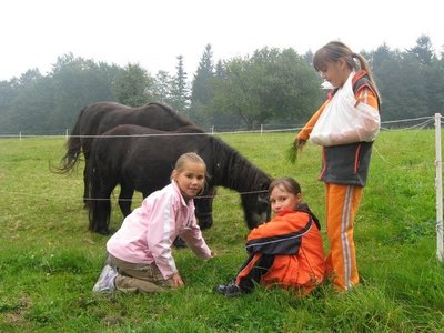 Obrázek 118281 