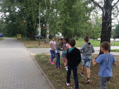 Obrázek 132789 
