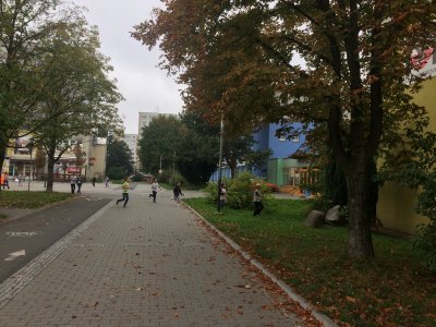 Obrázek 132793 