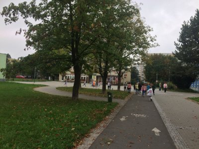 Obrázek 132798 
