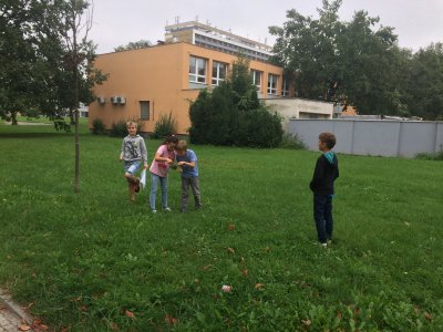 Obrázek 132802 
