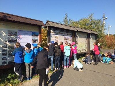 Obrázek 132815 