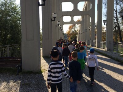 Obrázek 132827 