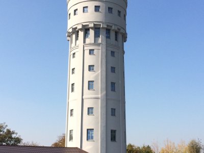 Obrázek 132847 