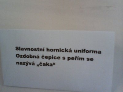 Obrázek 132920 