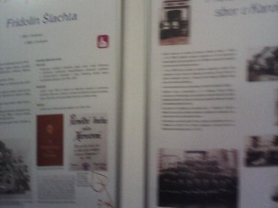 Obrázek 132933 