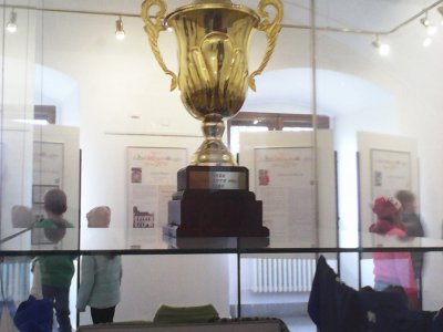 Obrázek 132946 