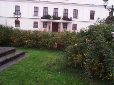 Obrázek 132986 