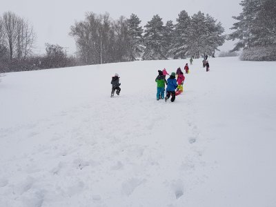 Obrázek 133771 