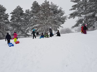 Obrázek 133775 