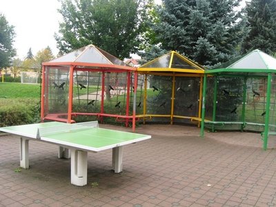 Obrázek 118255 