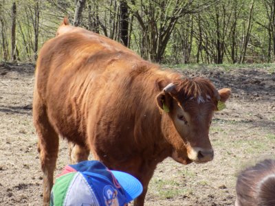 Obrázek 134840 