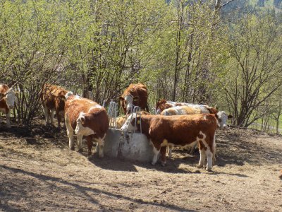 Obrázek 134849 