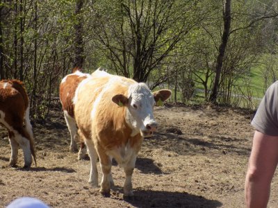 Obrázek 134843 