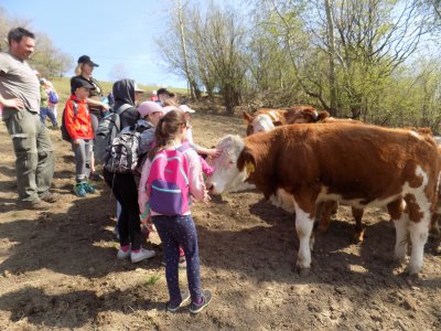 Obrázek 134853 