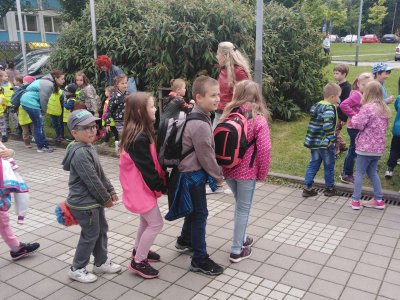 Obrázek 135463 