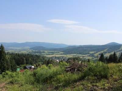Obrázek 135597 