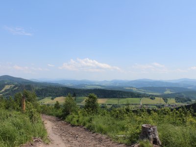 Obrázek 135604 