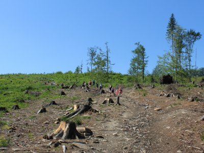 Obrázek 135598 