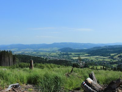Obrázek 135600 