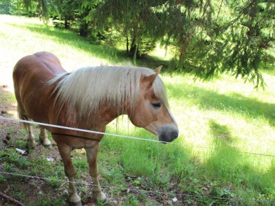 Obrázek 135603 